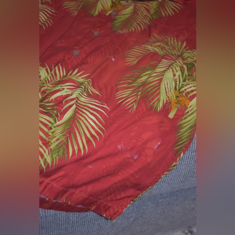 TB button down - Picture 7 of 9